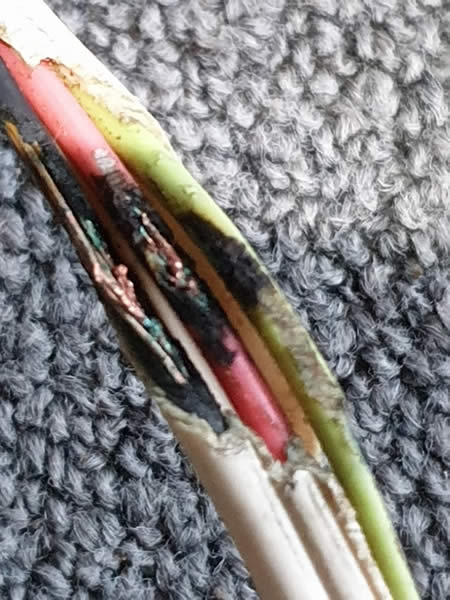 Rodent Chewed Wires